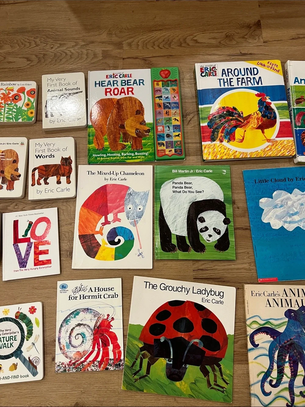 Colorful Educational Animal Board Books Set - Green/Multicolor